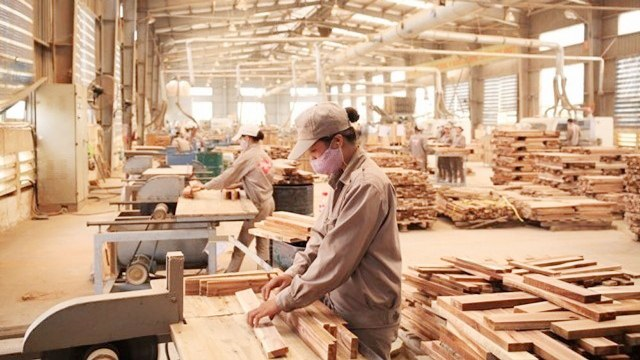 'Có tín hiệu gian lận thương mại trong ngành gỗ tại Việt Nam'