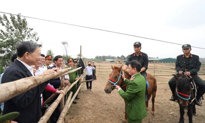 Bộ trưởng Tô Lâm thăm chuyên gia huấn luyện kỵ binh