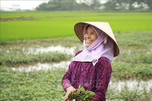 Video: Tâm dịch Sơn Lôi bình yên trước ngày hết cách ly 