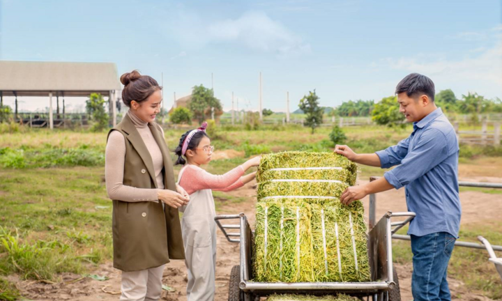 Hồng Diễm bất ngờ với tầm vóc và triết lý của Cô Gái Hà Lan sau 12 giờ khám phá