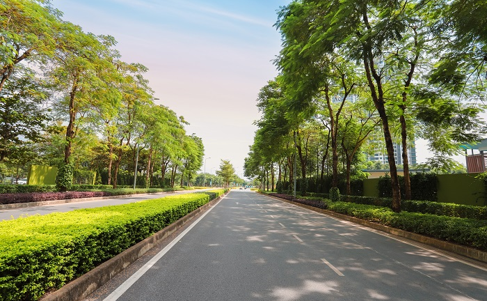 The Zen Residence: Đẳng cấp quốc tế, giá trị toàn cầu