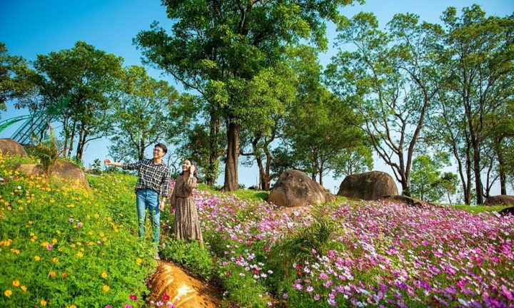 Chuyện chưa kể về những không gian xanh trên núi