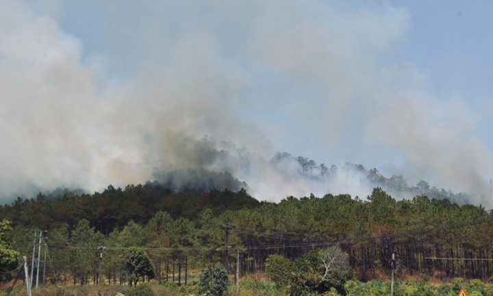 Rừng phòng hộ ở Gia Lai bốc cháy ngùn ngụt, hàng trăm người tham gia chữa cháy