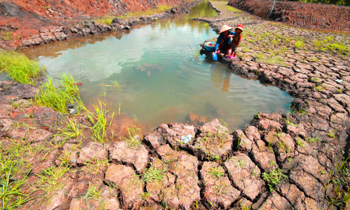 Video: 'Khát' nước giữa đồng bằng