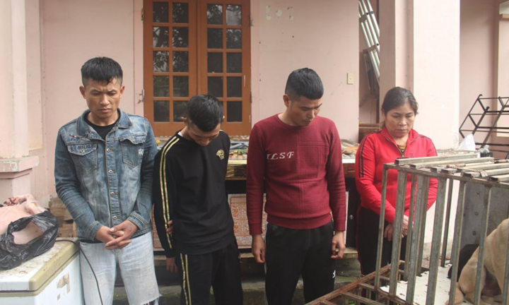 Nhóm cẩu tặc mang hung khí thực hiện hơn 100 vụ đánh bả khiến chó, mèo chết hàng loạt