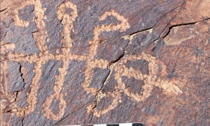 Phát hiện hình khắc sinh vật 'nửa người nửa bọ ngựa' khổng lồ