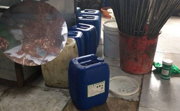 50 tấn nội tạng không rõ nguồn gốc trong trang trại ở Hải Dương