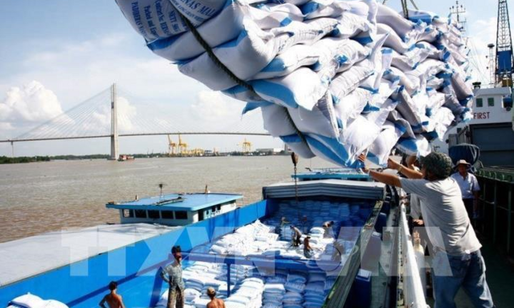 Việt Nam có nguy cơ thiếu gạo nếu xuất khẩu tiếp tục tăng