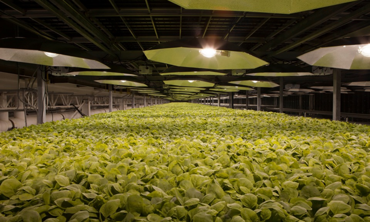 Công ty công nghệ sinh học tại Mỹ phát triển vaccine tiềm năng ngừa Covid-19