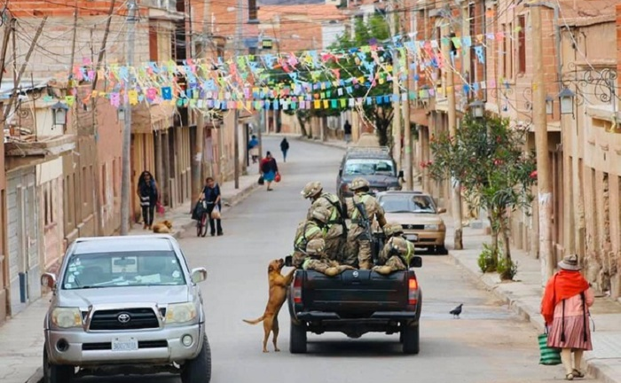 Sự thật bức ảnh chú chó chạy theo đoàn xe tuần tra chống dịch