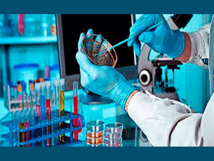 Tại sao hydroxychloroquine lại được nghiên cứu trong điều trị Covid-19?
