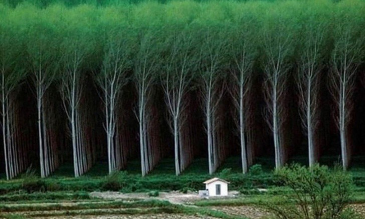 Những hình ảnh hoàn hảo đến khó tin trong cuộc sống