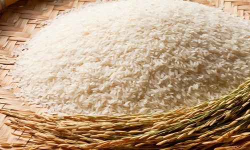 Bộ Tài chính đề nghị dừng xuất khẩu gạo tẻ đến 15/6