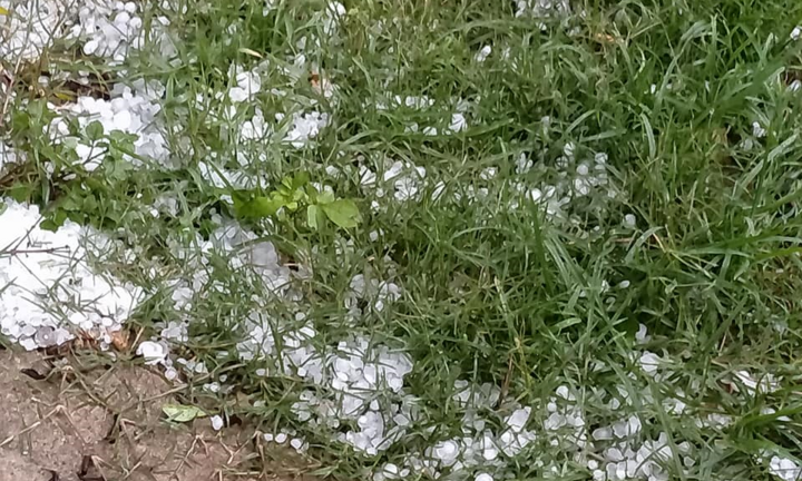 Mưa đá 30 phút ở Sơn La, đá trắng xoá đường, mận rụng tơi tả