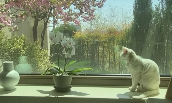 Không gian sống của vợ chồng Tae Yang (Big Bang)