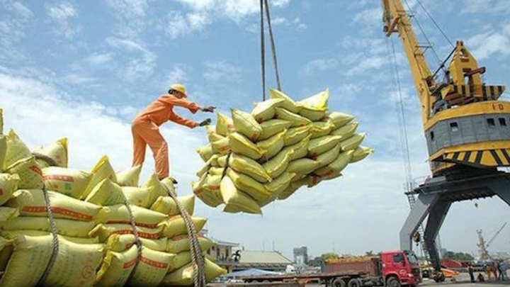 Tạm ứng hạn ngạch 100.000 tấn gạo để gỡ khó cho doanh nghiệp xuất khẩu