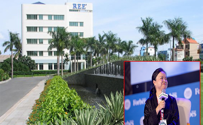 REE của ‘nữ tướng’ Nguyễn Thị Mai Thanh: Lãi giảm sâu, vốn hoá bốc hơi 1.400 tỷ 