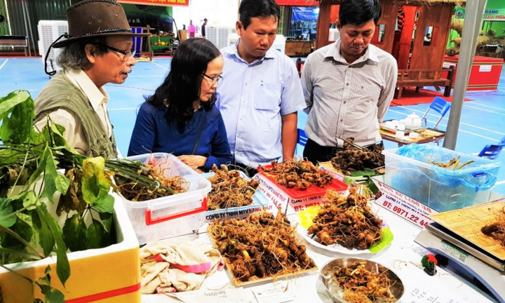 Sau 1 tháng tạm hoãn vì dịch COVID-19, chợ sâm lần thứ 31 thu về 3,8 tỷ đồng