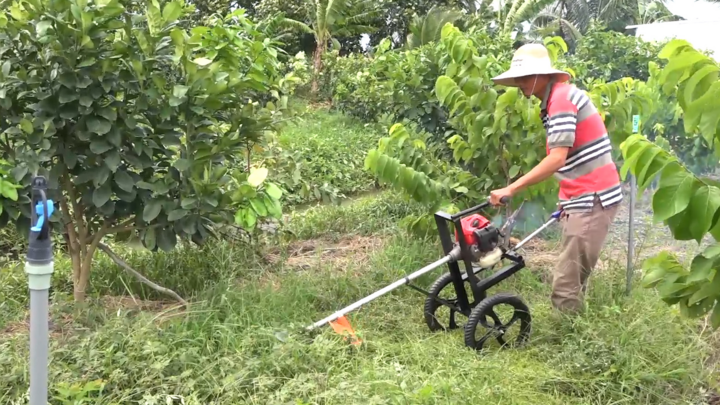 Nông dân miền Tây cải tiến xe cắt cỏ nhanh gấp 4 lần máy cắt