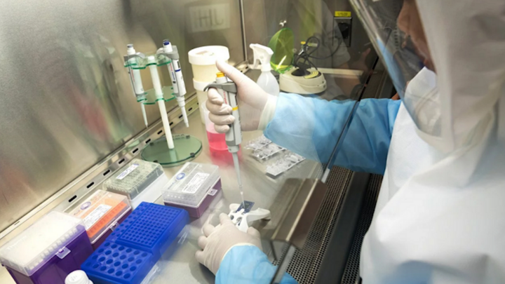 WHO kêu gọi các nước điều tra những ca mắc COVID-19 ban đầu