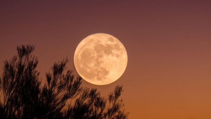 TRỰC TIẾP: Ngắm siêu trăng cuối cùng trong năm 2020