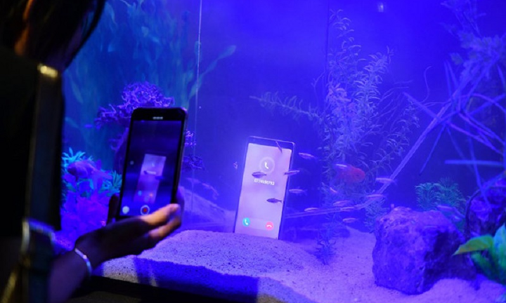 Cận cảnh Bphone B86 ngâm mình trong nước 30 phút