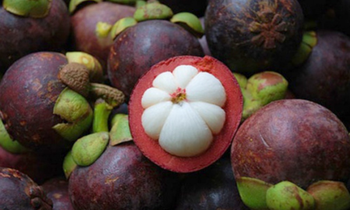 Bí quyết chọn quả măng cụt ngon ngọt, không bị chai sượng