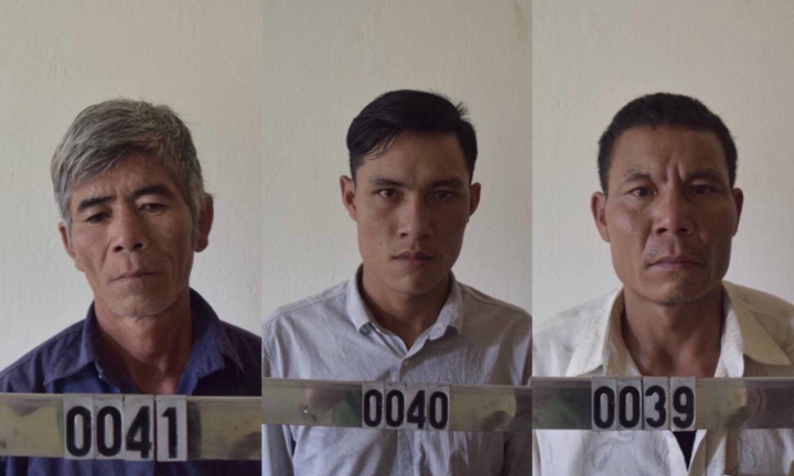 Khởi tố nhóm người khai thác gỗ trái phép ở Gia Lai