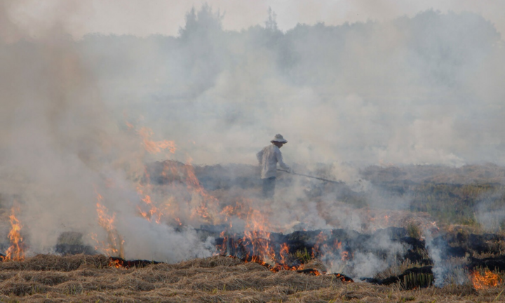 Video: Dân đốt rơm rạ, khói bao trùm thành phố Huế