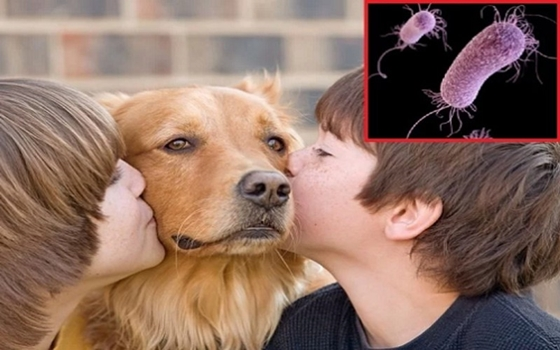 Để không mắc bệnh truyền nhiễm, bạn cần ghi nhớ những điều sau