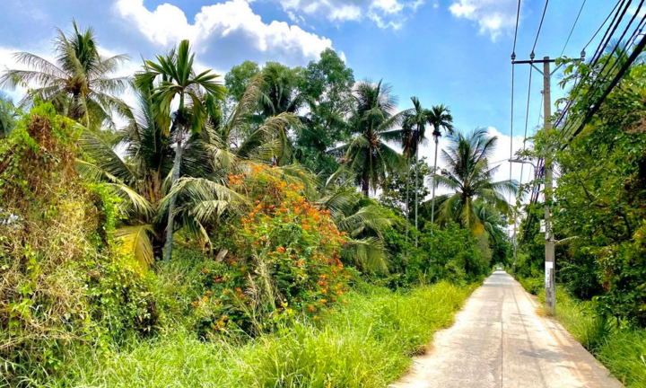 Ảnh: Sự thật đằng sau làng quê yên bình đến ngỡ ngàng giữa lòng TP.HCM