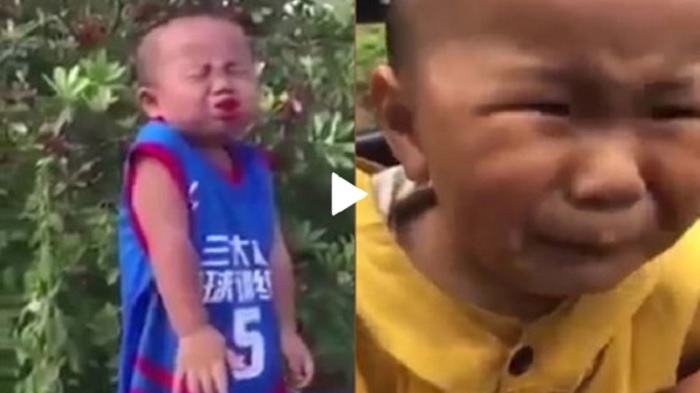 Biểu cảm hài hước của những đứa trẻ lần đầu ăn chua