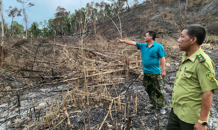 Truy tìm kẻ phá hơn 3,5 ha rừng tại Đắk Lắk