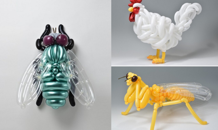 Biến hình bóng bay thành động vật, nghệ sĩ Nhật khiến dân mạng ngỡ ngàng