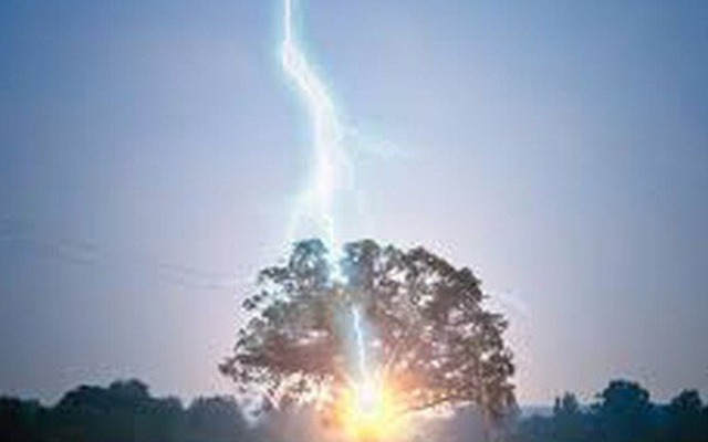 Trú mưa dưới gốc cây, 3 phụ nữ bị sét đánh chết thương tâm