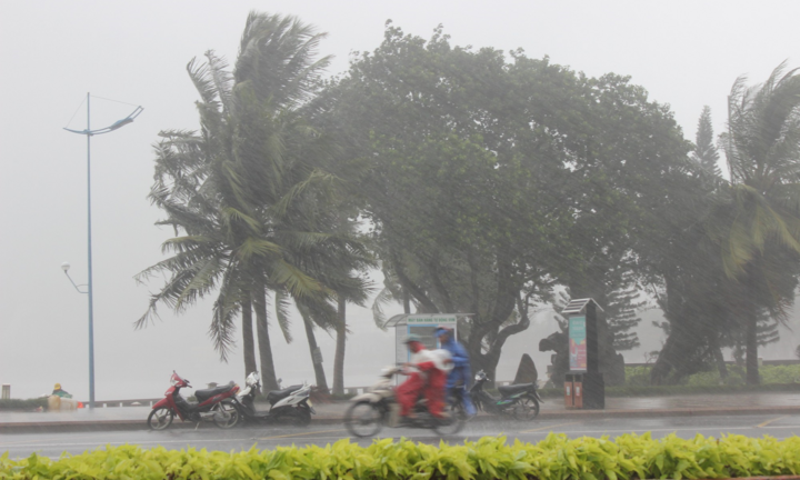 Năm 2020, bão mạnh sẽ xuất hiện nhiều hơn