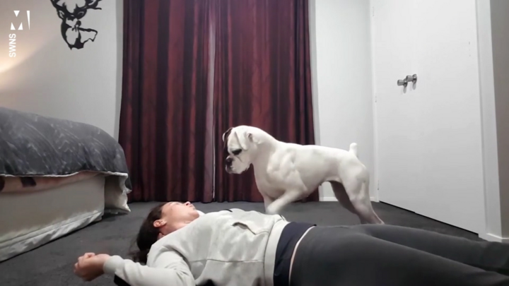  Chú chó trình diễn kỹ năng hô hấp cho người phụ nữ trẻ