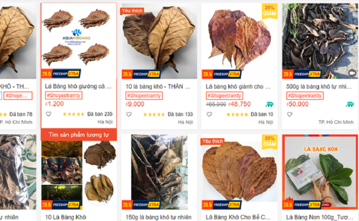 Chuyện thật như đùa: Lá bàng khô gây sốt 'chợ mạng', 1.000 đồng/lá