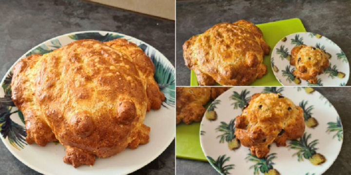 Bắt trend nướng bánh mỳ ếch, dân mạng đua nhau khoe kết quả thảm họa 