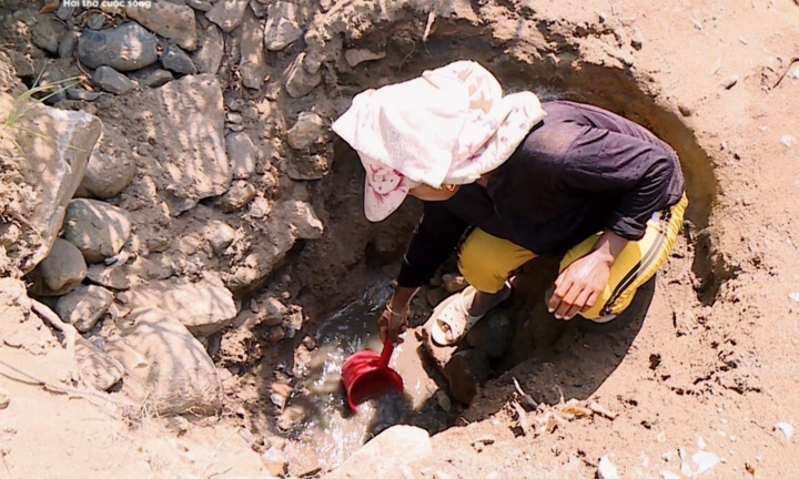 Hạn kinh hoàng, người Gia Lai mót từng giọt nước đục ngầu từ hố trũng về ăn 