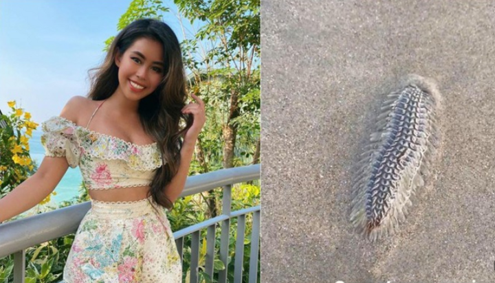 Loài sâu biển mà richkid Tiên Nguyễn gặp phải đáng sợ thế nào?