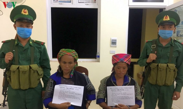 'Nữ quái' vùng biên đổi trâu lấy ma tuý để bán kiếm lời