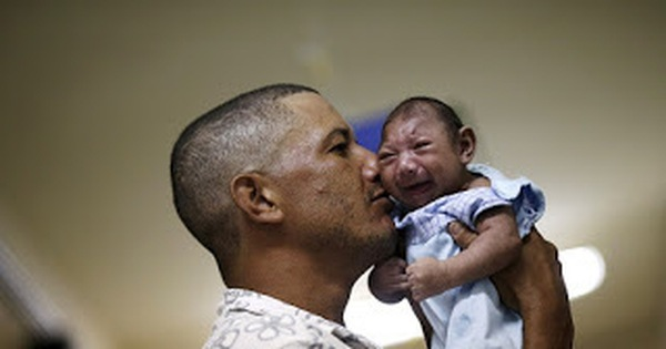 Virus Zika xuất hiện ở Đà Nẵng nguy hiểm thế nào, cơ chế lây nhiễm ra sao?