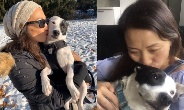 Tình bạn kỳ lạ giữa chú chó sợ người và người phụ nữ sợ chó ở Canada