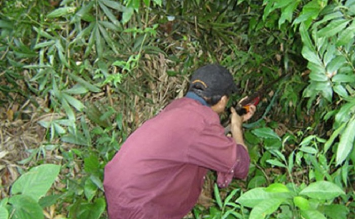 Những cái chết thảm do lạc đạn khi săn thú rừng