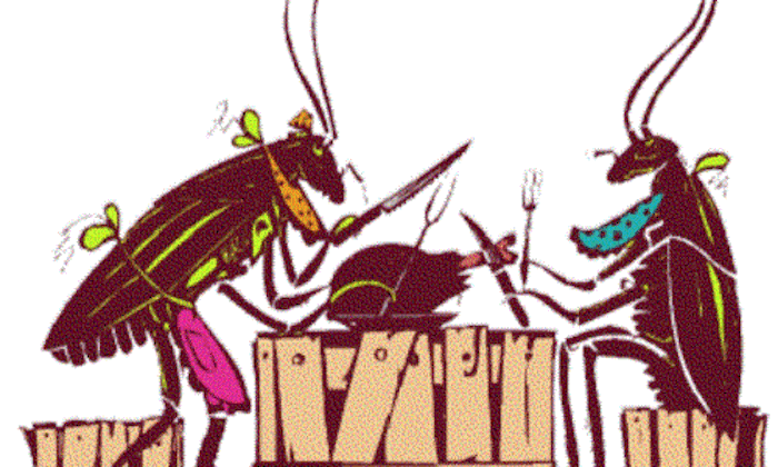 Cơn buồn nôn khủng khiếp của con gián