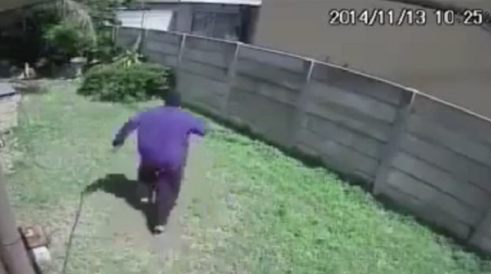 Bị chó đuổi, tên trộm chạy trối chết 