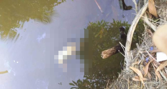 Thi thể trẻ sơ sinh còn dính dây rốn nổi trên kênh