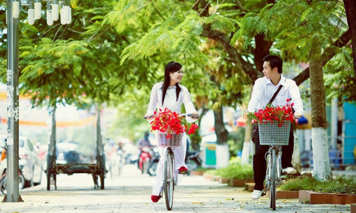 Vì sao lâu nay các trường học Việt Nam hay trồng cây phượng?