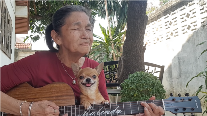 YouTuber 71 tuổi 'đốn tim' dân mạng bằng những bản tình ca xưa